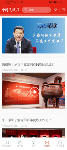 中国民族报(3)