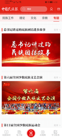 中国民族报(4)
