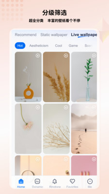 高清壁纸小组件图3