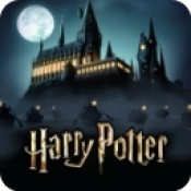 哈利波特霍格沃茨之谜