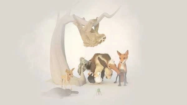 行走的老鲸鱼(2)