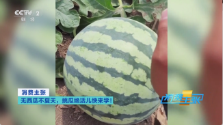 晶奥直播