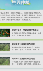 果园百知(3)
