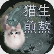 猫生煎熬