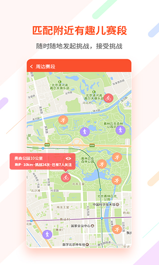 郁金香运动(3)