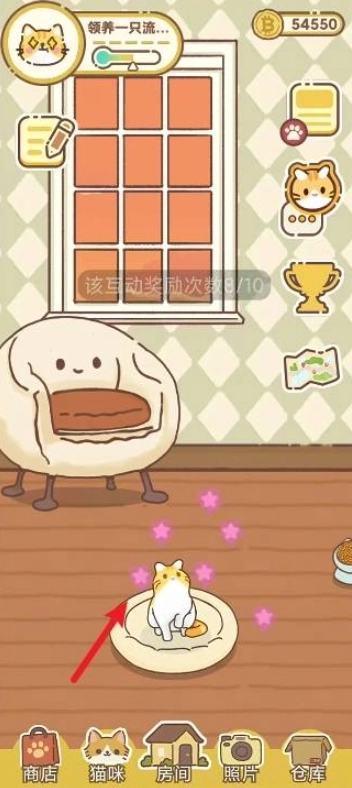 领养一只流浪猫游戏