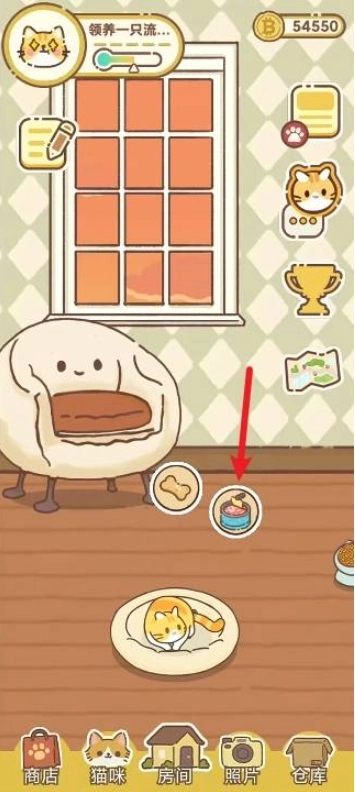 领养一只流浪猫游戏