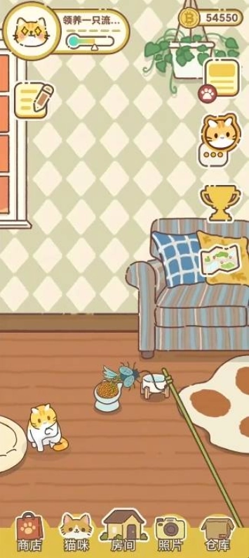 领养一只流浪猫游戏