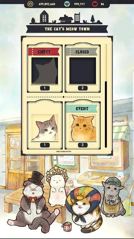 猫咪天堂(3)