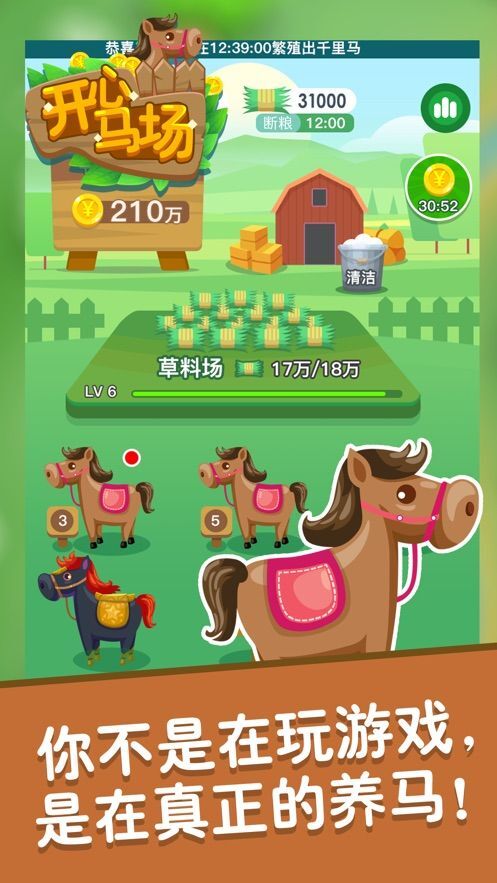 开心马场图4