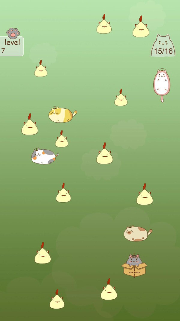 抓住流浪猫(3)