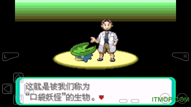 口袋妖怪荒芜世界最终作重制版图2