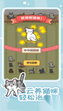解压猫咪(2)