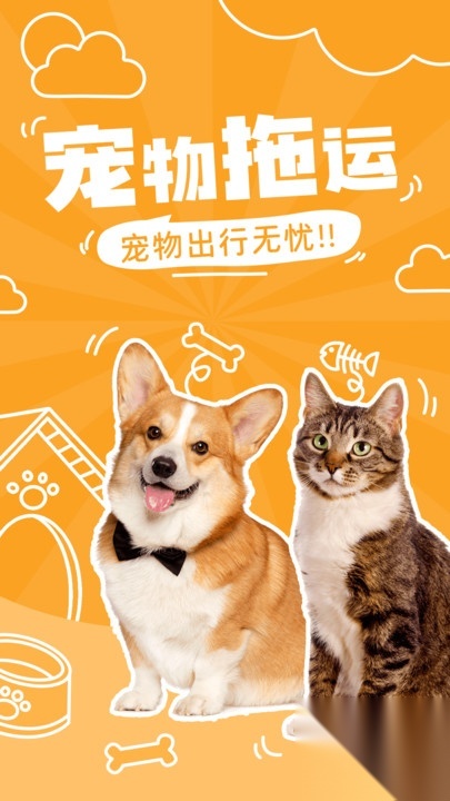 宠物托运顺风车图1