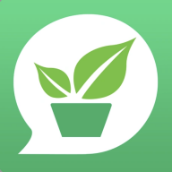 小绿植物