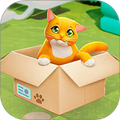 小小猫之家