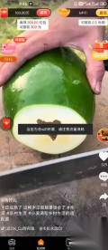 刷乐兔