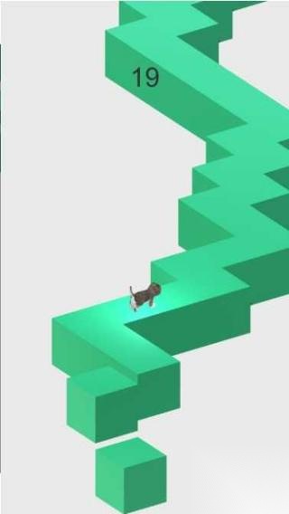 猫步(1)