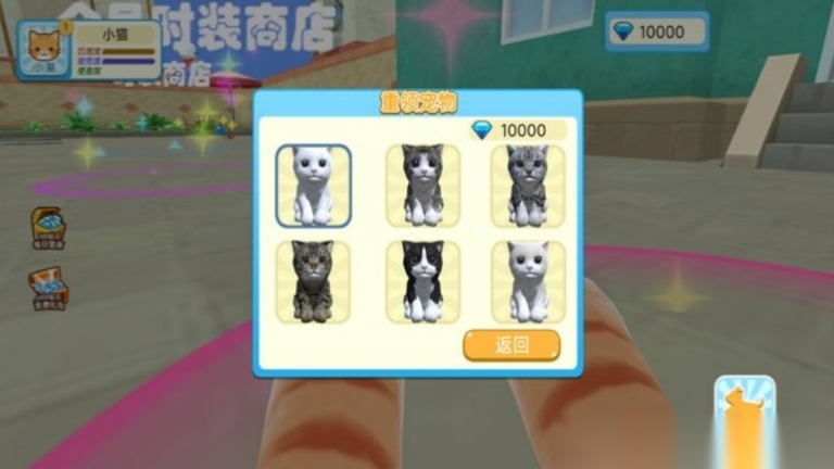 猫咪奶奶开世记(2)