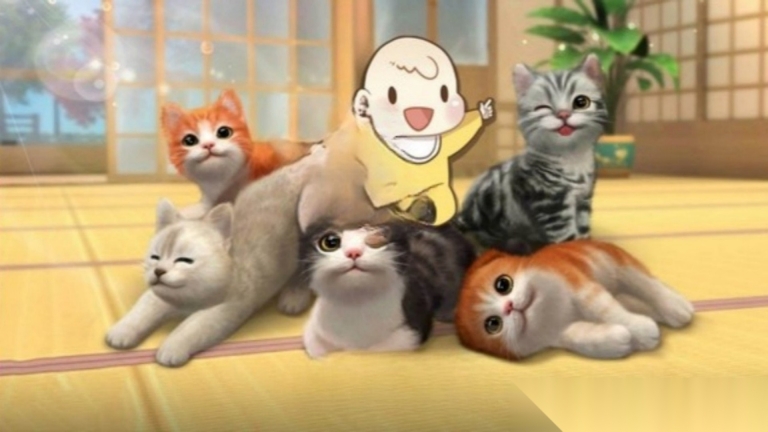 猫咪奶奶开世记(3)