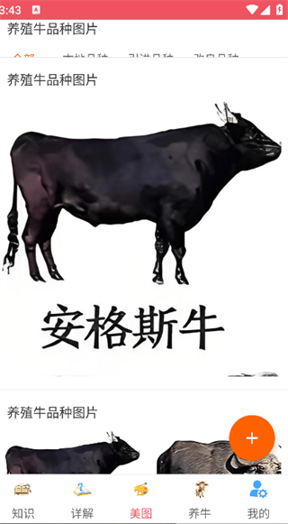 兼职养牛赚钱(2)