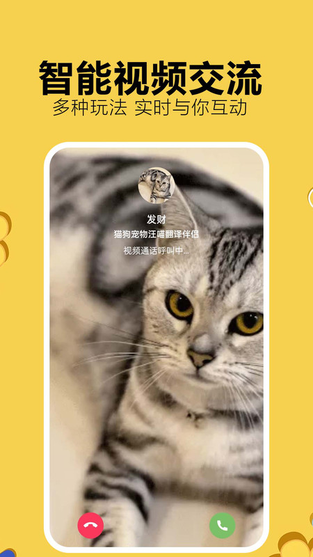 猫狗宠物汪喵翻译伴侣(4)