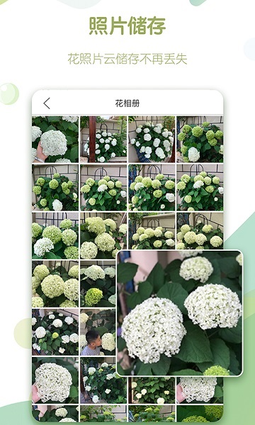 绿手指(2)