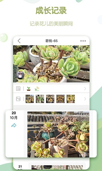 绿手指(3)