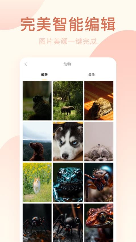 趣相机(3)