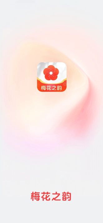 梅花之韵(1)