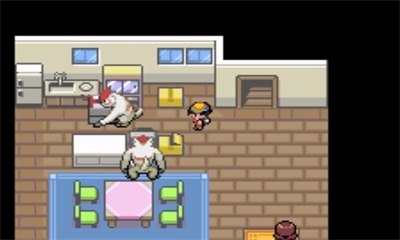 口袋妖怪进击之旅(3)