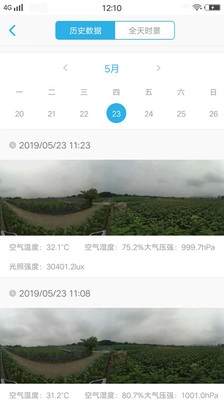 新标农场