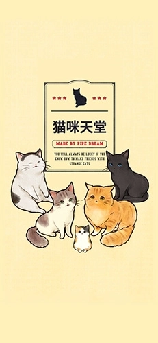 猫咪天堂图1