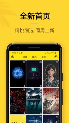 橙子4D动态壁纸图1