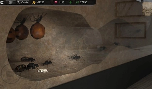 蚂蚁模拟大亨中文版图5