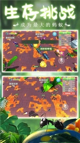 蚂蚁行军团中文版1