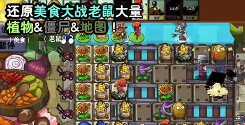 植物大战僵尸时空之乱玩家自制版(1)