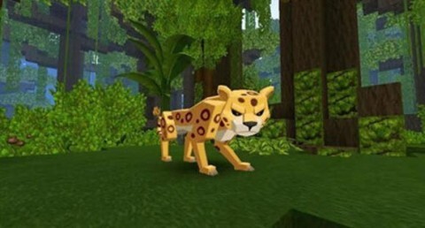 迷你世界雨林图3