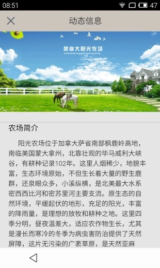阳光农场