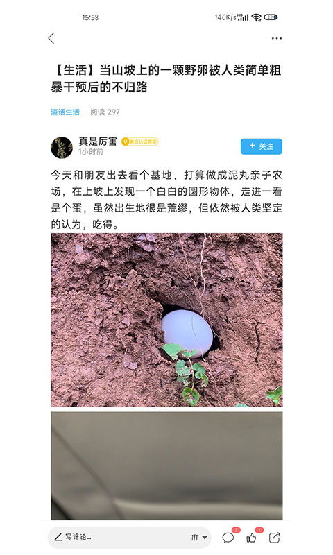潼南论坛(4)