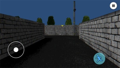 皮卡布宁静的夜晚图2