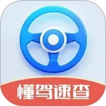 懂驾速查