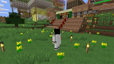 我的世界模拟人生图3