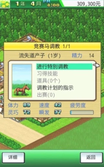 顶级牧场赛马(5)