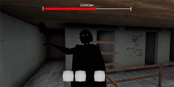 恐怖双胞胎黑影模组图4