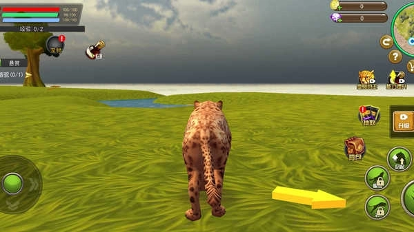 模拟生存大挑战(5)