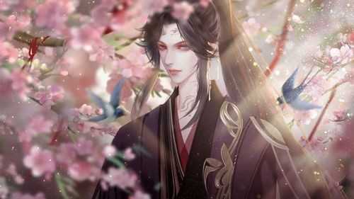 仅仅是外人清软