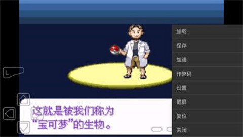 口袋妖怪永恒纪元(2)