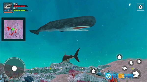 饥饿鲨鱼求生图4