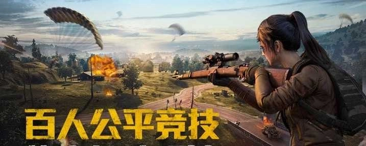 和平精英国庆版(3)